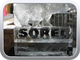 099 Sorel Logo with Bear 2