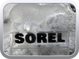 100 Sorel logo with Bear